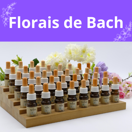 Um kit de florais de bach com os vidros de todas as essências